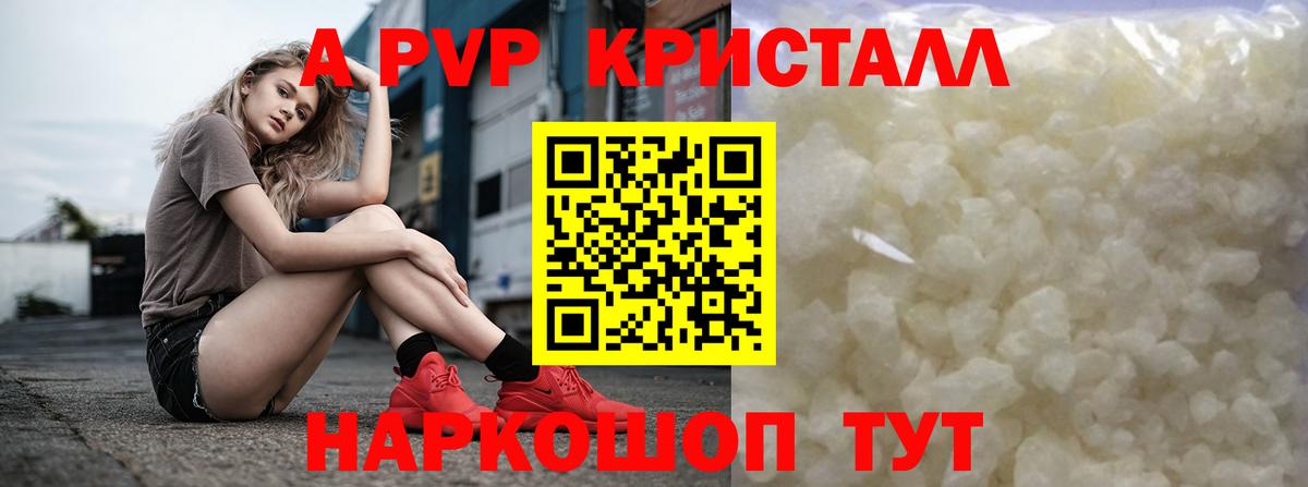 Альфа ПВП СК Заинск