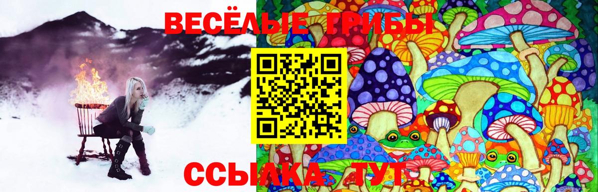 Галлюциногенные грибы ЛСД Заинск