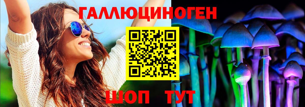 Заинск  Галлюциногенные грибы Psilocybine cubensis  Вход с VPN 